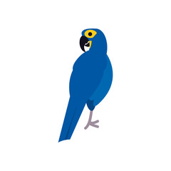 blue macaw bird flat style icon vector design