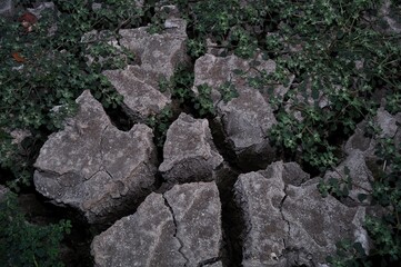 Top view of cracked soil texture background. Global warming