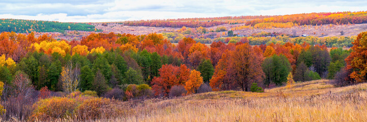 Picturesque autumn landscape in green and yellow colors. Panoramic view from hill to lowland with grove and field in cloudy day. Colorful autumnal nature, beautiful natural background