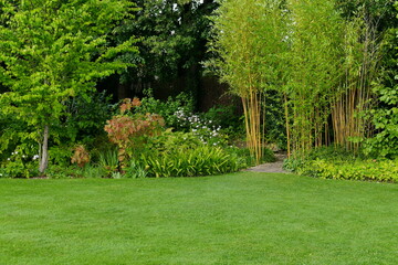 grass lawn, flowers and trees in the garden