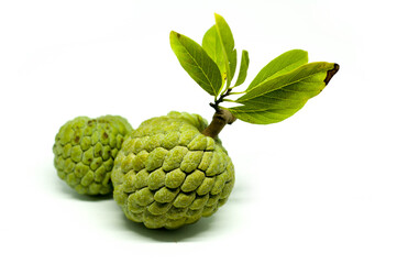 Two Fresh Organic Sugar Apple Srikaya Fruit Isolated on White Background