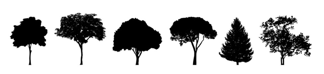 Set of trees silhouettes isolated on white background.. Vector illustration