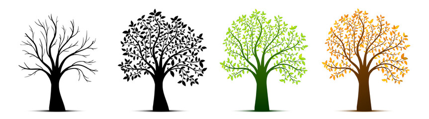 Obraz premium Tree seasons nature background. Vector illustration