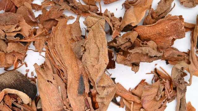 top view herb medicine MuMianHua or Commen Bomhax Flower or Gossampini Flos rotate