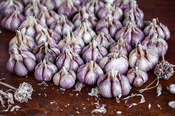 Organic garlic on wood background. Fresh herbs and spices. 