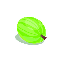 gooseberry berry, vector image