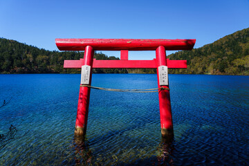 志賀高原　大沼の鳥居