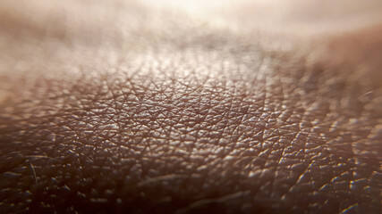 A picture of macro human skin. Caucasian super macro hand. Helthy abstract skin. Dermatology...