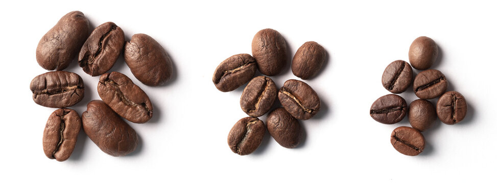 Panorama of coffee beans of different sizes on a white background.