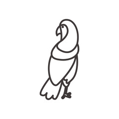 macaw bird line style icon vector design