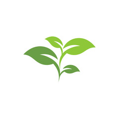 Leaf Logo Template vector symbol