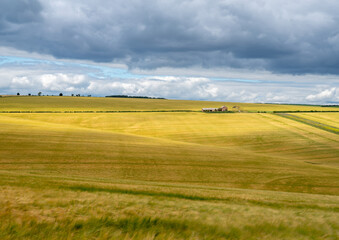 Landscape of rolling hills farmland