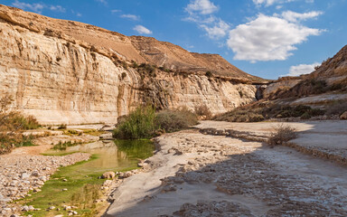 mossy green water in the nahal akev stream in the zin valley in israel with cliffs, the ein akev...