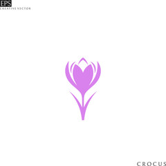 Crocus. Purple flower