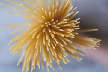 Macro of many Spaghetti Noodles and egg noodles photo taken from above