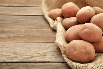 Harvest potatoes in burlap sack on grey rustic background