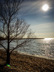 view in the lake Ontario