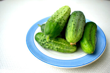 several cucumbers on a plate, isolated, close-up