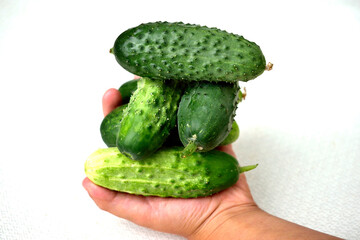 cucumbers in child's hand, isolate, close-up