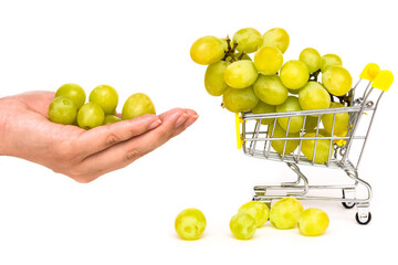 Grapes in hand and in a small cart on a white isolated background. Buying grapes.