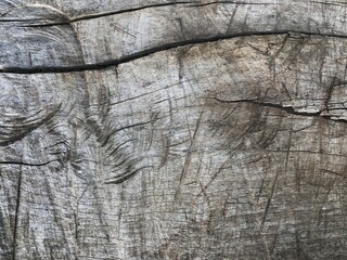 Grey old wood texture background.