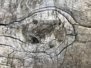 Old grey wood texture background.