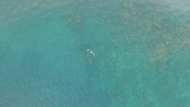 Three people snorkling in the ocean in Amed, Bali, Indonesia