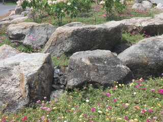 Multi colored flowers and stones