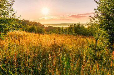 Scenic view at beautiful sunrise in a far misty valley, bright crimson cloudy sky , trees and golden sun rays with glow, summer morning  field landscape