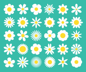 Camomile super big set. White daisy chamomile icon. Cute round flower plant nature collection. Love card symbol. Decoration element. Growing concept. Flat design. Green background. Isolated.