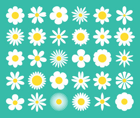 Obraz premium Camomile super big set. White daisy chamomile icon. Cute round flower plant nature collection. Love card symbol. Decoration element. Growing concept. Flat design. Green background. Isolated.