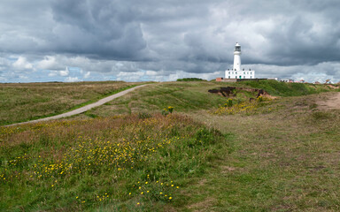 Fototapeta na wymiar Lighthouse under heavy sky and wild flowers and grass in foreground, Flamborough, UK.