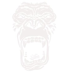 Gorilla Face With Open Mouth