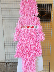 Project " io posso " ( i can ) in Italy, figure of a girl in the form of pink artificial flower.