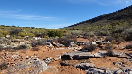 Karoo Semi Desert Landscape with Sand, Rocks and Green Hills