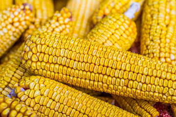 Dried corn on market