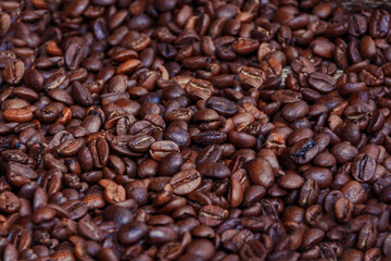 Roasted coffee beans