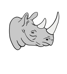 Rhino