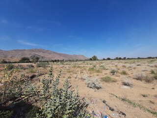 Deserted farm in Rajasthan