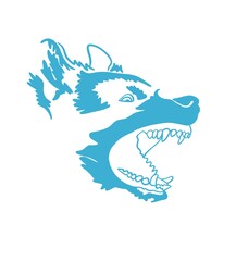 Angry German Shepherd