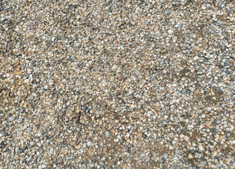 The texture of small and large, multi-colored sea shells with gray sand. Photograph, top view.