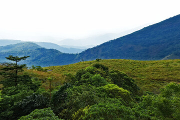 Fototapeta premium mountain landscape with trees
