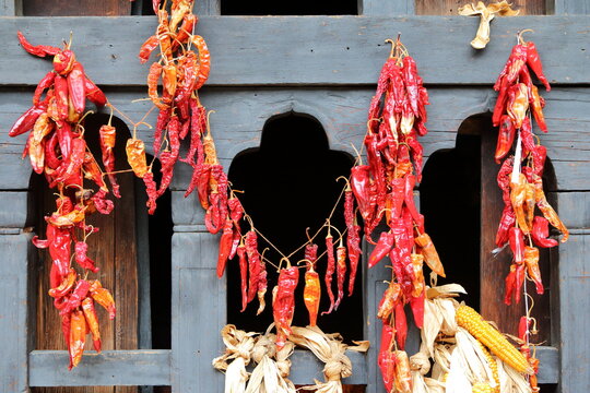 Dry Red Chillies