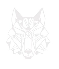 Abstract Geometric Wolf