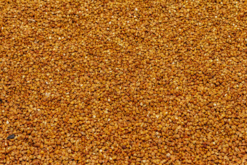 Dry buckwheat grain background
