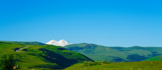Fototapeta na wymiar Elbrus and Green Meadow Hills at a Summer Day. Panorama