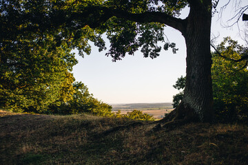 Fototapeta premium view of the taunus at sunset from the celtic plateau on the glauberg