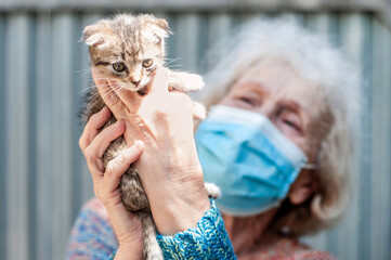 A cute elderly old woman volunteer holds a Scottish fold kitten in an animal shelter. Quarantined, isolated. Coronavirus covid-19. Pets help old people cope with loneliness. Solitude. Pet care
