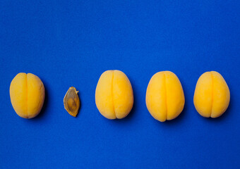 a row of 4 yellow apricots on a blue background plus one apricot seed