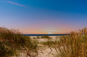 Sandy beach at sunset among the dunes